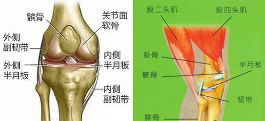 膝盖的养护-膝关节病穴位按摩 膝盖疼按摩什么穴位