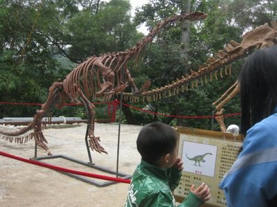 周日：大涌卓旗山公园看恐龙展，见识不少，胆大得很啊!