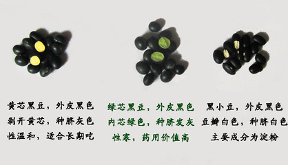 黑豆与黑芸豆的区别是什么？黑豆和黑芸豆好区分吗？ 黑芸豆和黑豆哪个好