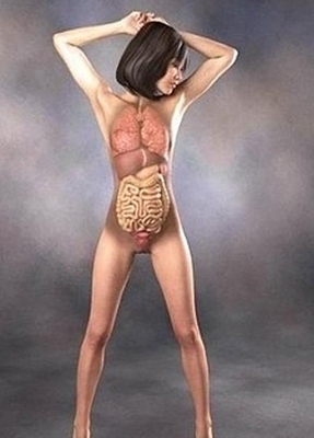 瑜伽醫學研習營主旨+3D人體解剖學軟體googlebodybrower