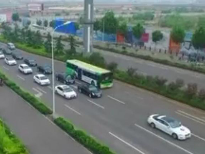 视频：重庆老夫妻养百斤巨蟒每天推车运出在小区散步