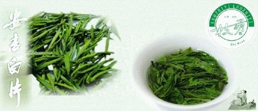 安吉白茶和安吉白片的区别 安吉白片茶