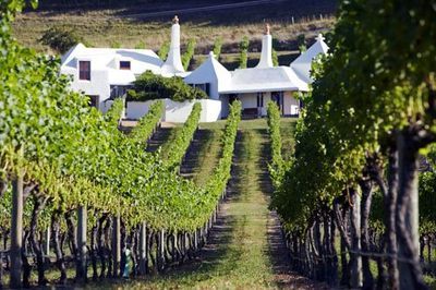 世界上最好的葡萄酒产地 新西兰的葡萄酒