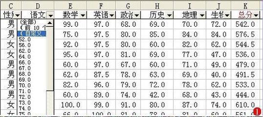 Excel筛选功能和技巧总结 excel筛选技巧