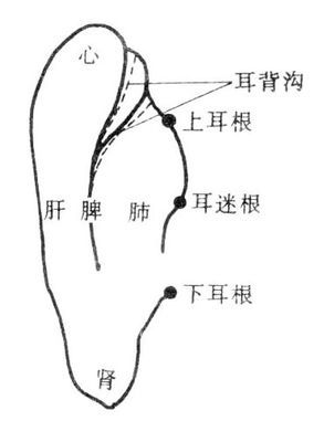 治疗高血压快速有效、简单易行的方法 简单快速的早餐做法