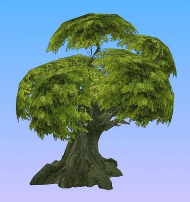 有关“法国梧桐树”的知识 法国梧桐树3d模型