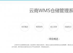 管理科学与工程类（信息管理与信息系统、电子商务）管 翰林汇电子商务系统