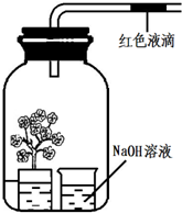 光合作用与呼吸作用的计算 物体的力 视频