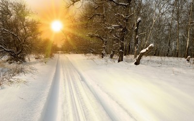 雪后的阳光 阳光雪景图