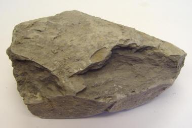 三大岩石简介2-岩石地质分类：<一>沉积岩——泥质岩、砂岩、石灰