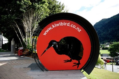 新西兰的国鸟KIVI鸟 新西兰的国鸟