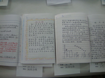 一年级语文教学随笔 初中语文学习笔记