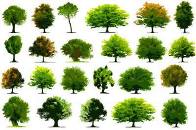 适应北方地区常用27种绿化树种 北方园林绿化树种