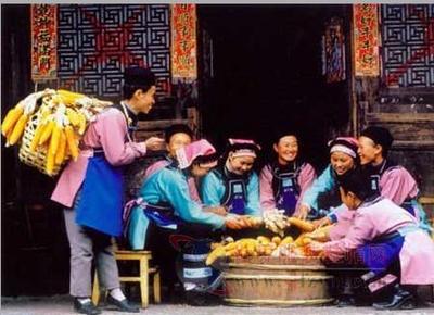 布依族服饰文化研究 藏族服饰文化研究