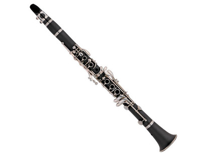 单簧管属于什么乐器 最易学的乐器排名