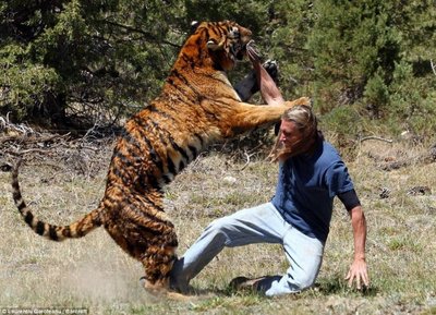 老虎怕什么 人能打过老虎吗