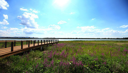 大同文瀛湖景观设计 大同市文瀛湖生态公园