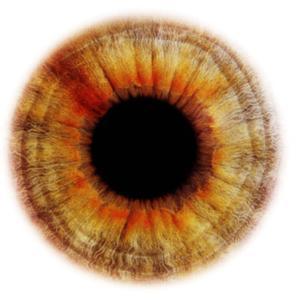 人眼睛的瞳孔放大显示是什么样子？ 瞳孔放大是怎么回事