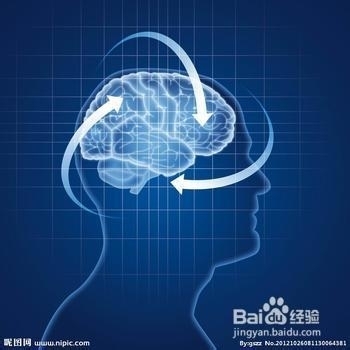 记忆力脑力开发训练培训-如何开发大脑_袁 大脑记忆力训练方法