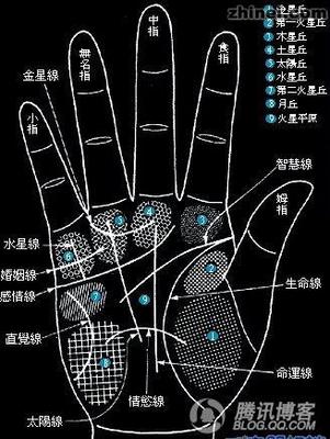手指纹{斗和簸箕}各代表什么 手指纹十个斗