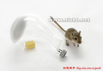 最具创意的温柔捕鼠方法 容器捕鼠器的创意设计