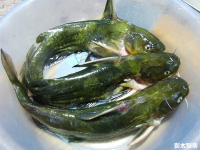 黄辣丁浓汤——这个鱼的名字还真多==! 红烧黄辣丁鱼的做法