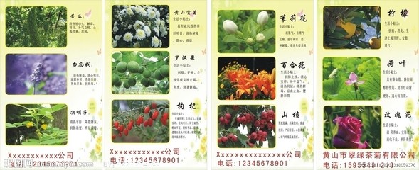 各种花茶的功效大全 各种花茶的功效与作用