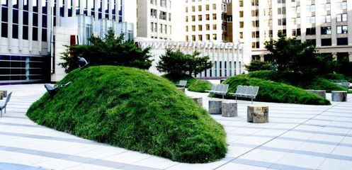 联邦法院广场——跳跃的鼓丘(玛莎施瓦兹作品） 玛莎施瓦兹作品
