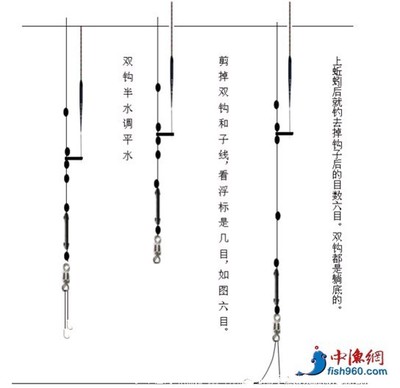 蚯蚓的养殖及钓鱼技巧方法_自在财神 钓鱼蚯蚓养殖技术