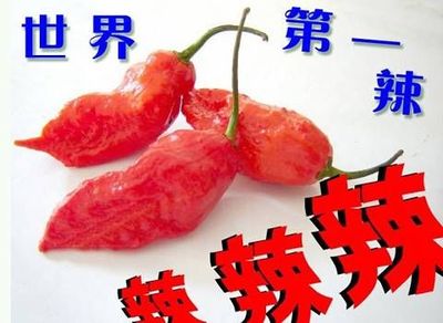 涮涮辣 中国最辣的辣椒排名