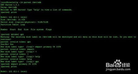 linux下挂载ISCSI存储设备 linux挂载iscsi磁盘