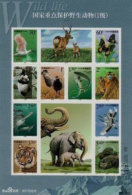 保护动物——十大珍稀动物纪念币及邮票欣赏与资料 中国珍稀动物纪念币