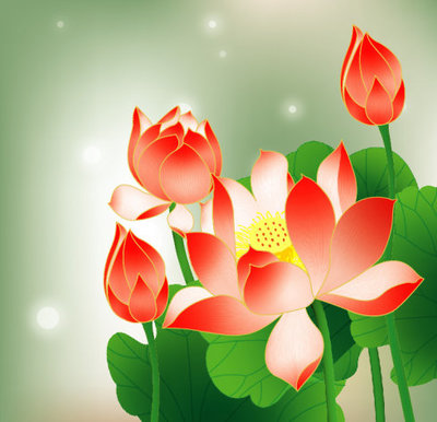 佛教中运用莲花的象征意义 莲花佛教意义