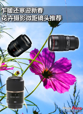春天拍花卉微距摄影镜头推荐 微距摄影镜头