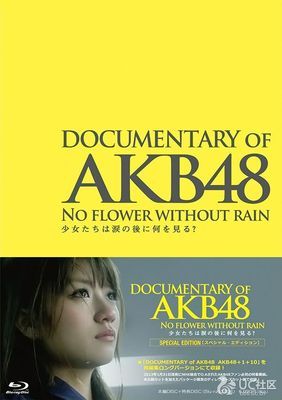 2013年日本纪录片《AKB48心程纪实3：少女眼泪的背后》
