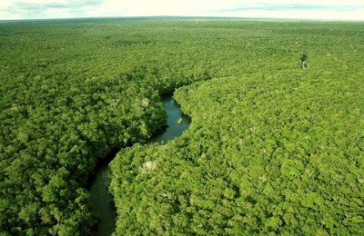 地球上几个特殊的热带雨林气候分布区 热带雨林气候分布