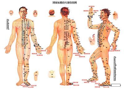 病症、经络穴位对照表 穴位对应病症