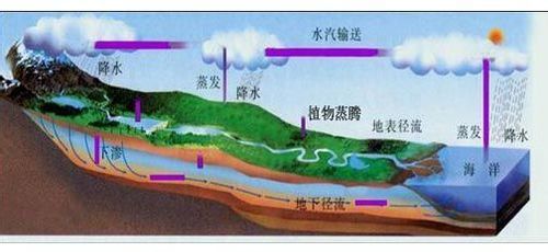 《大自然的语言》的选择题练习