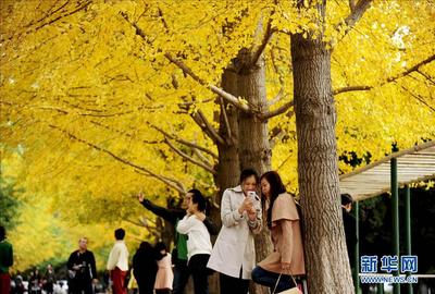 簧色女人a图片大全 双簧管图片大全