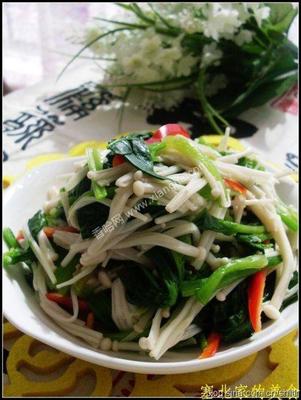 【煮妇生活】菠菜最有营养的吃法--凉拌菠菜 凉拌菠菜金针菇