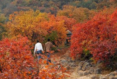 郑州荥阳环翠峪 荥阳环翠峪景区怎么样