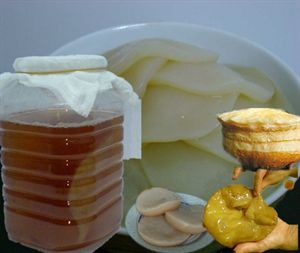 红茶菌，对于“胃不好”比酵素的效果更管用 纤之魅酵素梅好不好