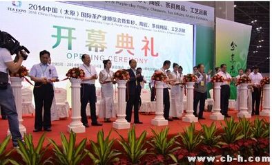 首届中国（太原）“煤博会”将于九月开幕 首届汶川大熊猫节开幕
