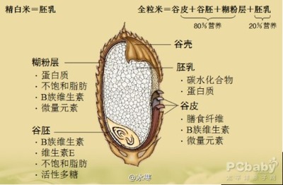 痤疮的饮食/营养基本建议 痤疮饮食注意什么