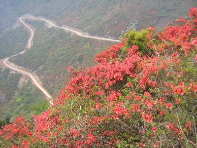 同安云顶山露营记——我的第一次户外游（二） 同安云顶山旅游攻略