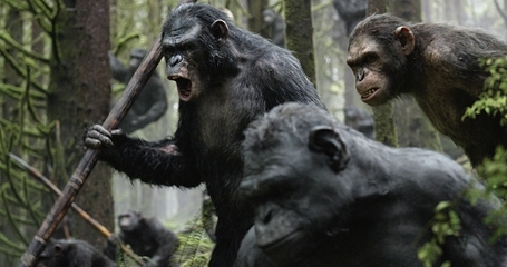 【电影】关于猩猩的三种猜想 第三种黑猩猩txt