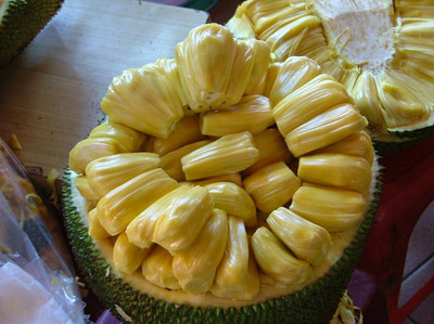 【南方水果】09大树菠萝 大树菠萝的核
