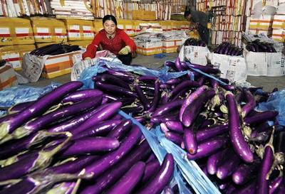 [转载]北京水果批发市场大全 广州江南水果批发市场