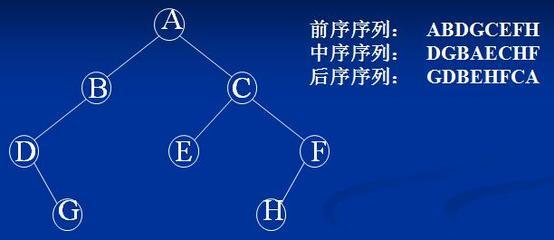 用C语言实现二叉树的遍历极其应用 二叉树的遍历c语言