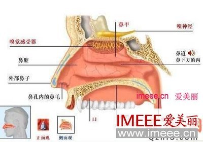 治疗鼻炎简单有效的一些方法 鼻炎如何治疗有效